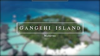 ► Gangehi Island Resort Maldives [upl. by Yaeger]