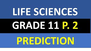 GRADE 11 LIFE SCIENCES PAPER 2 PREDICTIONS 2023 THUNDEREDUC BY MSAIDI [upl. by Ellenyl]