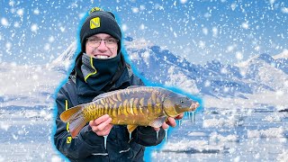 The REALITY Of Winter Match FISHING  Makins Live Match Fishing [upl. by Mitchel]