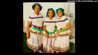 Xitsonga hit 2024 Boti vukona  Dance remix [upl. by Munniks827]