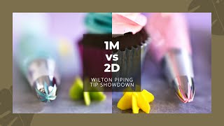 Wilton Tip 1M vs Wilton Tip 2D Which one is the best How to use these Wilton Piping Tip Nozzles [upl. by Collbaith297]