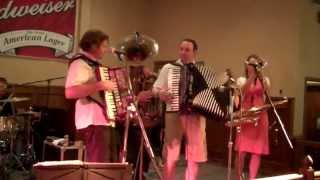 MARK HALATA POLKA BAND PLUS MOLLIE B AND TED LANGEENNIS TEXAS MAY 25 2013 [upl. by Hsivat]