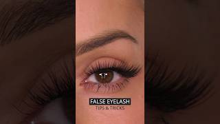 TIPS amp TRICKS False Lash Application  Shonagh Scott shorts [upl. by Mirabella932]