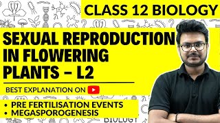 CBSE Class 12  Sexual Reproduction in Flowering Plants  Pre Fertilization Events Megasporogenesis [upl. by Damaris]