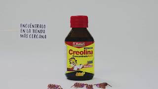 Creolina Concentrada [upl. by Gareth]