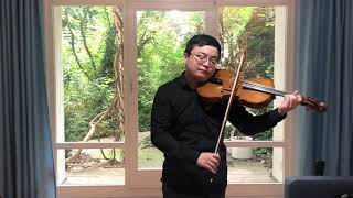 H Vieuxtemps  Capriccio ‘Hommage à Paganini’ for Solo Viola Op 55 Diyang Mei [upl. by Ailegna581]