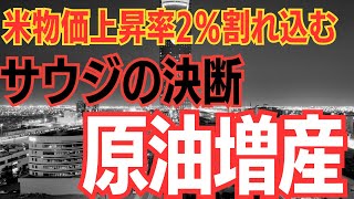 【OPECプラス】原油の生産は増加へ！シェア確保での増産で過去の出来事を繰り返すのか？ [upl. by Ahsienal]