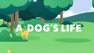 Dogs are for life [upl. by Rick252]