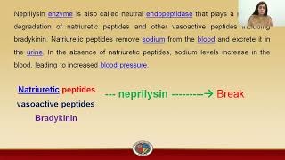 How do neprilysin inhibitors work [upl. by Uok]