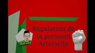 La Régulation de la Pression Artérielle  Bac Tunisie [upl. by Efioa]