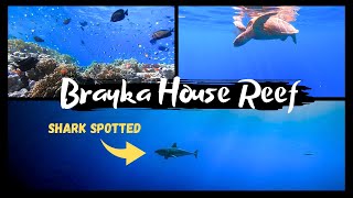 BRAYKA RESORT  SNORKELING 2023  MARSA ALAM [upl. by Noellyn]