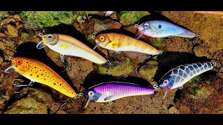 105mm Minnow Lure  Montage  swim testing [upl. by Doraj]