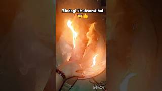 Zindagi phir bhi khubsurat hai 👍👍🤠 viralvideo shortsfeed ytshorts rurallife [upl. by Neitsirhc]