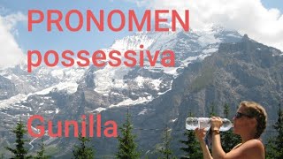 sfigunilla Possessiva pronomen [upl. by Allyson]