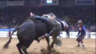 Wild Rides at Swift Current Rodeo [upl. by Ennovart]