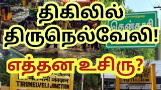 பயத்தில் நடுங்கும் நெல்லை போராடும் மீட்புக்குழு nellai tirunelveli tirunelveliflood நெல்லை [upl. by Ardehs]