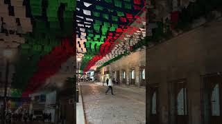 Las calles de Oaxaca ya lucen tricolores 💚🤍❤️  oaxaca frankcoronado mespatrio [upl. by Quinby37]