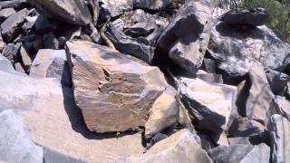 Rattlesnake on Black Mountain Cave Creek AZ  dont hike with headphones [upl. by Atoiganap]