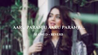 aaru paranju aaru paranju song  slowed  reverb  song by paattoholic [upl. by Tavie]