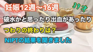 【妊娠初期】12週〜16週つわりの症状｜NIPTの結果｜破水かと思ったら‥出血も‥｜39歳高齢妊娠｜ジェンダーリビールケーキ｜性別発表 [upl. by Ardnosak691]