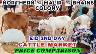 Memorable EID ll Northern Malir Bhains Colony Cattle Market Price Update ll Eid 2nd Day [upl. by Aehc]