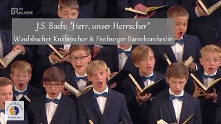 JS Bach quotHerr unser Herrscherquot  Windsbacher Knabenchor amp Freiburger Barockorchester L Böhme [upl. by Hong]