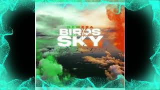 New Era  Birds In The Sky Lee Keenans 20 Remix [upl. by Theodora]