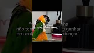 Cresço logo o bico😂 dailyvlog memes maquiagemshopee humor passarinho virginiana comedia fyyy [upl. by Arnst]