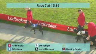 Crayford Greyhounds Races on 11th October 2024 [upl. by Siravrat]