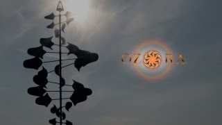 OZORA Festival 2012 Official Video [upl. by Merell887]