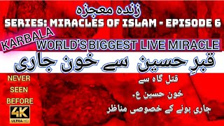 MOJZA AT IMAM HUSSAIN as GRAVE  Real Miracle  KARBALA 2023 [upl. by Leandre]