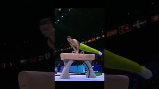 Rhys McClenaghan Pommel Horse Gold  World Gymnastics Championships 2023 🥇 [upl. by Nanyt135]