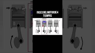 FASES DEL MOTOR DE 4 TIEMPOS [upl. by Eimas]