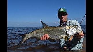 Fly Fishing for Tarpon in Ascension Bay [upl. by Idou873]