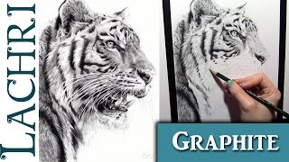 FaberCastell 9000 graphite pencil review and tiger demo  w Lachri [upl. by Adnoek]