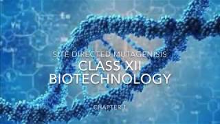 SITE DIRECTED MUTAGENESIS [upl. by Sheelah]