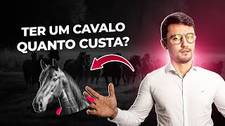 Quanto custa TER UM CAVALO Valores e gastos mensais [upl. by Victorie335]