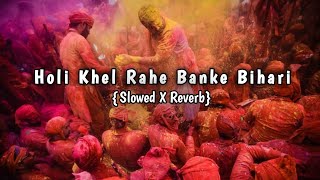 Holi Khel Rahe Banke Bihari Slowed X Reverb  Holi Special Song 2023  AS MUSIC PRODUCTION ✨ [upl. by Terpstra]