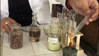 ❤️TEST OF NITRATE ION❤️ [upl. by Neukam]