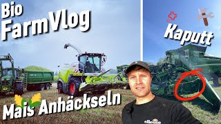 Kurz vor Ende Drescher kaputt🚫 Mais🌽Häckseln  Pronto 6 AS drillt ZF  6250R Stoppelsturz  Vlog 40 [upl. by Suollecram]