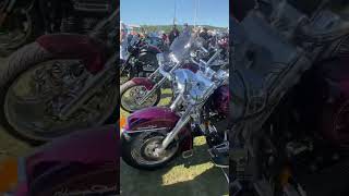 Ride out in St Louis Mo biker harleydavidson ninja650 [upl. by Ehsiom]