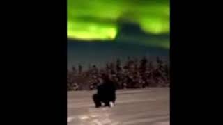 Alaska Northern Lights or Aurora Borealis Video from a customer taken on his winter vacation [upl. by Demp]