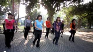 Cherry Blossom Cha Cha  Line Dance Demo amp Walk Through [upl. by Wemolohtrab]