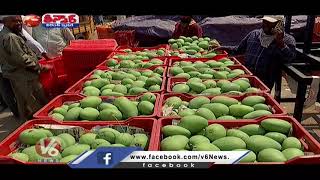 Covid19 Effect  No Rush at Gaddiannaram Mango Market  V6 Teenmaar News [upl. by Ettevy]