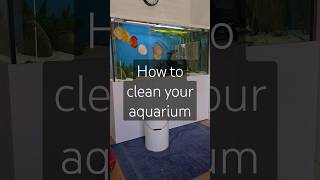 The Ultimate Guide to Cleaning Your Aquarium  Expert Tips and Tricks aquarium fishtank [upl. by Raffarty445]