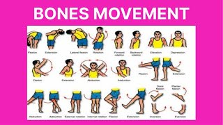 bones movement terminology  body movement terms anatomy body planes of motion [upl. by Ciel697]