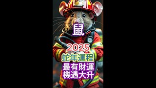 肖鼠運程  高維冥想HDM  2025蛇年生肖運程：財富、感情、事業與健康重點指南！🔔三大關鍵月份提醒！把握好運！智慧避兇，財運 感情運 事業運 健康運 生肖運程 運勢分析 [upl. by Brendis995]