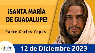 Evangelio De Hoy Jueves 23 Noviembre 2023 l Padre Carlos Yepes l Biblia l Lucas 194144 l Católica [upl. by Neumeyer]