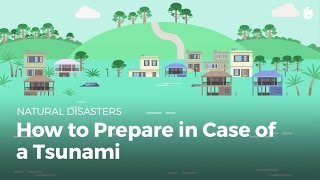 How to Prepare in Case of a Tsunami  Disasters [upl. by Anirtal108]