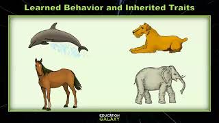 4th Grade  Science  Learned Behavior and Inherited Traits  Topic Overview [upl. by Ecirehc424]